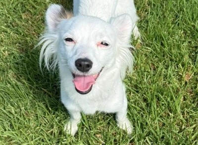 Kaipara Feature box image